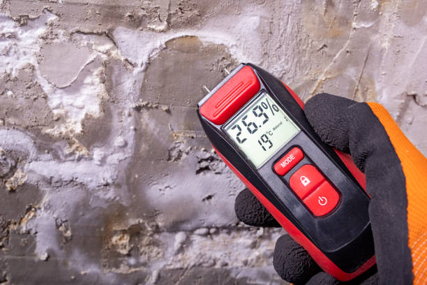 Best Attic Mold Removal  in Farmington, UT